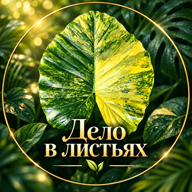 Дело в листьях